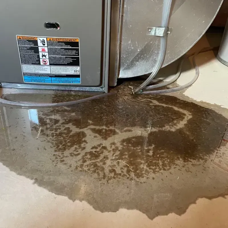 Appliance Leak Cleanup in Bowie, MD